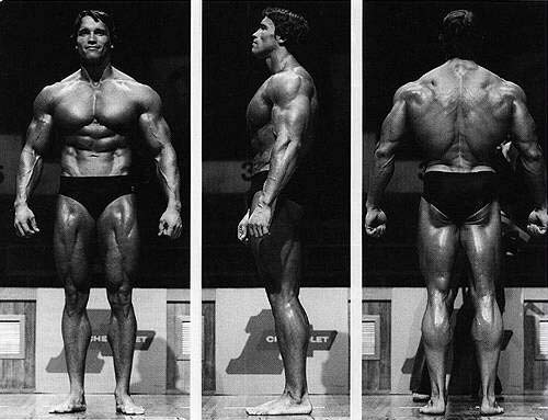 arnold schwarzenegger workout videos. Arnold Schwarzenegger